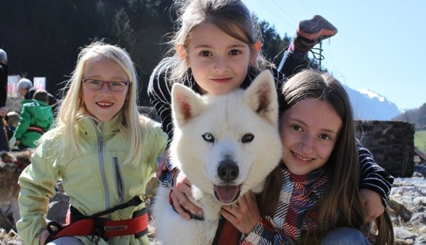 Erlebniswelt Muotathal im Winter: Huskies und Iglu