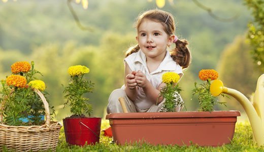 Im Garten können Kinder aus Pflanzen schöne Dekorationen gestalten.