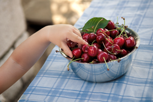 Sommerzeit ist Chriesi-Zeit: Süsses Obst, knackig und gesund