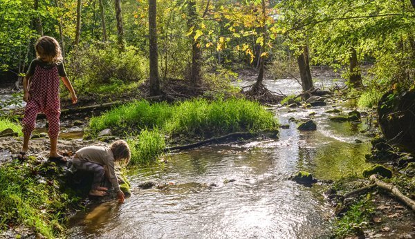 Natur erleben: Zwei Mädchen im Wald am Fluss