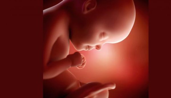 Der Körper des Babys ist ab der 29. SSW proportional.