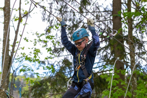 Ein Junge klettert im Seilpark zwischen den Bäumen und hält sich an den Seilen über seinem Kopf fest.