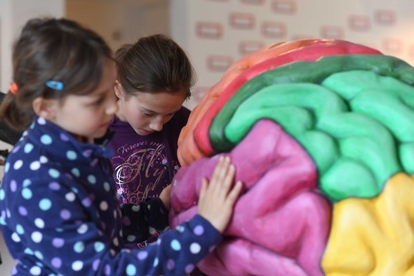 Kinder erforschen ein grosse Figur eines Hirns.