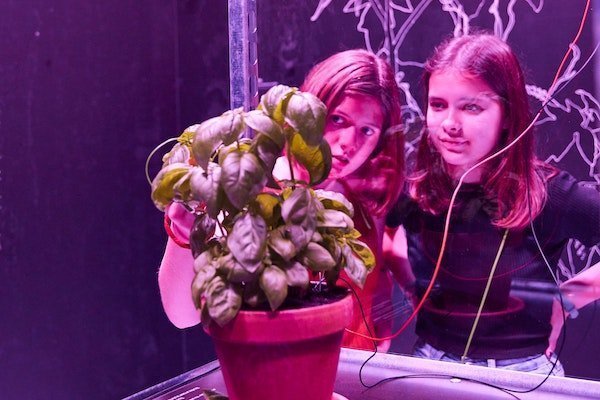 Zwei Mädchen schauen sich die Pflanze an, die an eine Elektrosonde angeschlossen ist.
