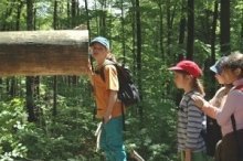 Wanderwege für Kinder: Walderlebnispfad