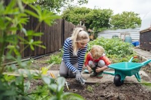 Ein Garten für Kinder: Die besten Tipps und Ideen für die Gestaltung