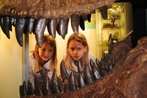 Nachts im Sauriermuseum Aathal Dinos erforschen