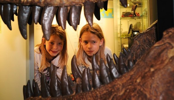 Dino-Gebiss im Sauriermuseum Aathal