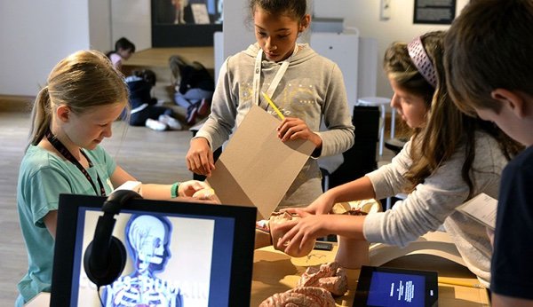 Kinder entdecken im Kulturama die spannende Anatomie des Menschen