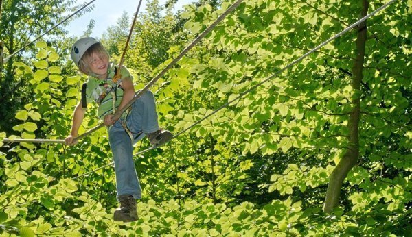 Kinder klettern durch die Baumkronen im Seilpark Bern