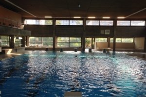 Hallenbad Wädenswil: Schwimmkurse für jedes Alter und Niveau