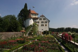 Schloss Heidegg: Rosen bewundern und eine Kissenschlacht erleben