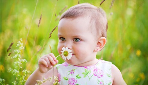 Une allergie chez votre bébé peut être déclenchée par le pollen, par exemple.