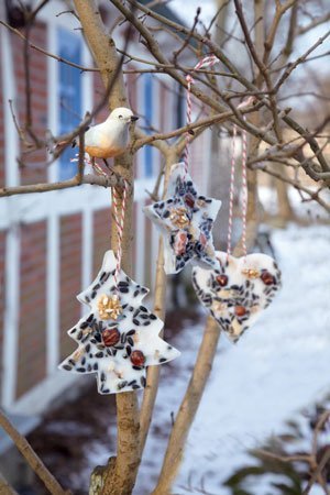  Wie wäre es mit dieser Adventsdeko: Vogelfutter hübsch gestaltet