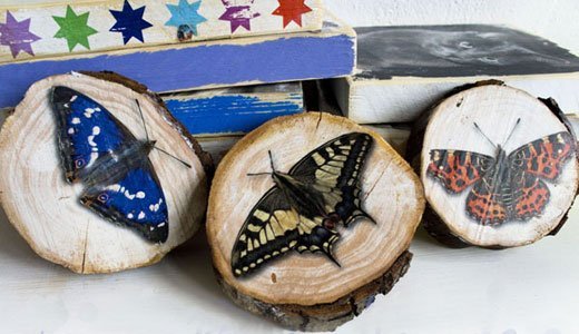 Frühlingsdeko mit Schmetterlingen auf Holz