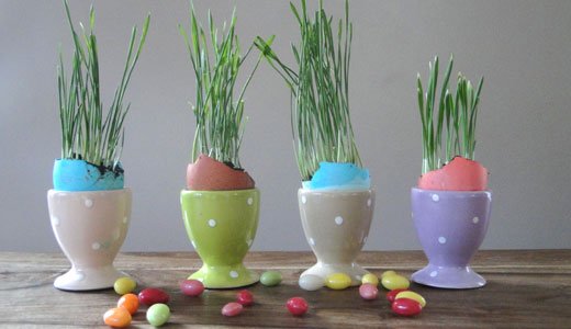 Diese Tischdeko für Ostern besteht aus Eierschalen, Erde und Katzengras.