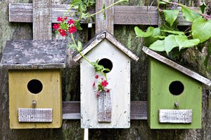 Ein eigenes Vogelhaus basteln: der Vogelwelt ein zu Hause geben!
