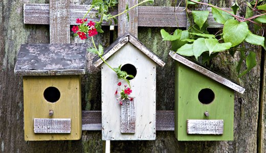 Ein eigenes Vogelhaus basteln: der Vogelwelt ein zu Hause geben!