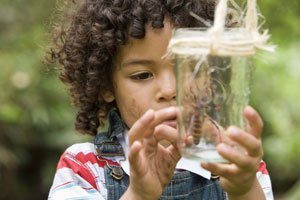 Für kleine Naturforscher: Insektenhotel, Regenwurmkiste und Nistkasten bauen