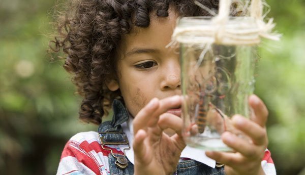 Kinder lieben es, im Garten Insekten zu beobachten