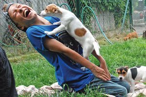 Das Tierheim des Tierschutz beider Basel ist offen für Kinder
