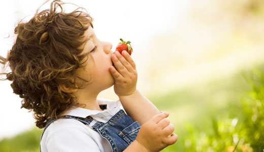 Erdbeeren pflanzen und naschen mit Kindern.