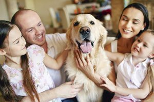 Der perfekte Familienhund: Die 10 besten Hunderassen