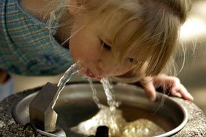 Hahnenwasser für Kinder: gesund, billig, verfügbar