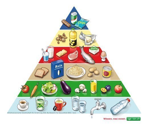 Die Lebensmittelpyramide der SGE