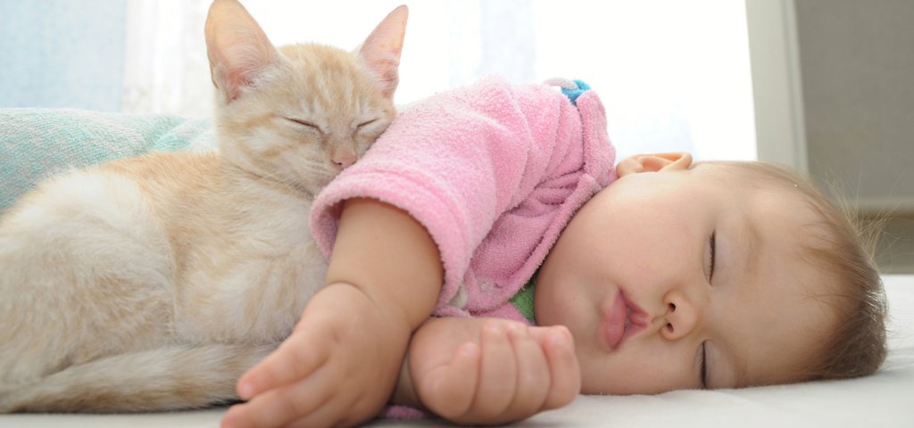 Baby Und Katze Unterhalten Sich