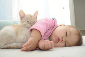Katze und Baby - geht das gut?