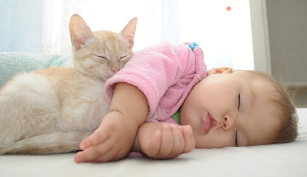 Zusammenleben von Katze und Baby
