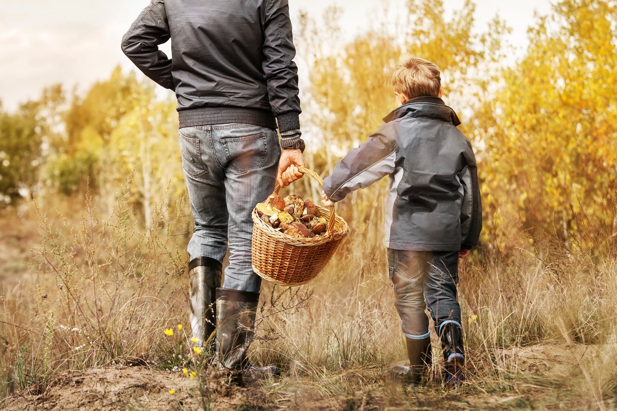 Vater und Sohn spazieren mit Korb voller Pilze durch den Wald
