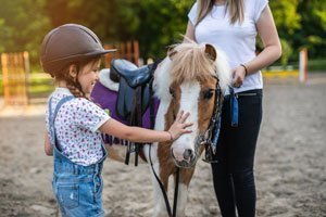 Auf die Pferde, fertig los: Schweizer Reitschulen für Ihr Kind