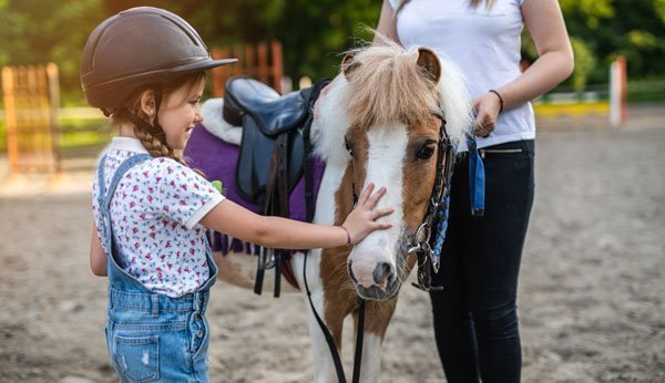 Une petite fille avec un casque de cavalier caresse un cheval.