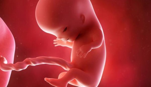À la 11e semaine de grossesse, le fœtus boit déjà du liquide amniotique.