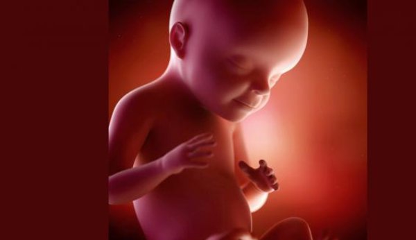 SSW 27: Dans le ventre de maman, le bébé est de plus en plus à l'étroit.