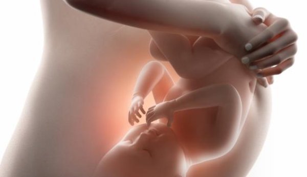 À la 30e semaine de gestation, il y a un manque d'espace dans l'abdomen. Le bébé adopte la position fœtale.