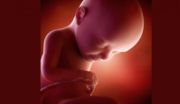 Au cours de la 32e semaine de grossesse, les poumons du bébé se développent très rapidement.