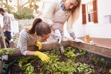 Für grosse und kleine Gärtner: So bepflanzen Sie jetzt Ihr Hochbeet