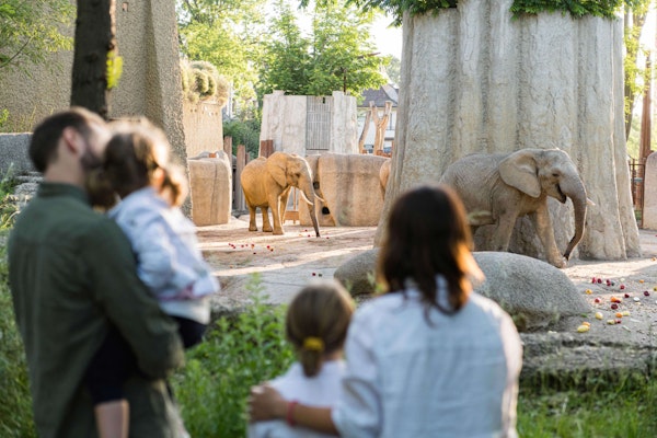 Eine Familie schaut sich im Elefantengehege «Tembea-Anlage» die zwei Elefanten Heri und Rosy an.