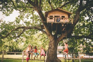 Baumhaus bauen: So schaffen Sie Ihren Kindern eigenes Reich in luftiger Höhe