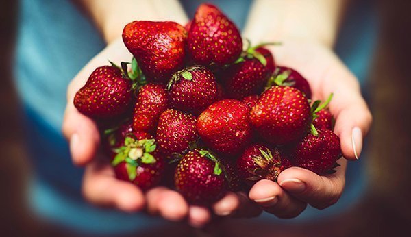 Erdbeeri-Ziit! Hier kann man Beeren selber pflücken
