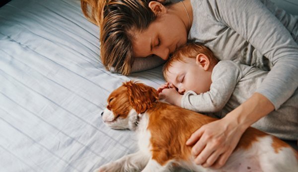 Im Familienbett schläft sich nicht immer besser, aber wahrscheinlich auch nicht schlechter. Mythen rund ums Co-Sleeping.