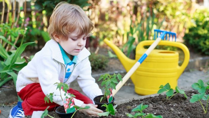 Garten für Kinder: Pflanzen