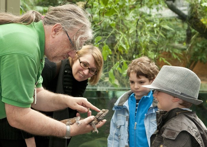 Zoo Zürich: Kinder können einiges lernen