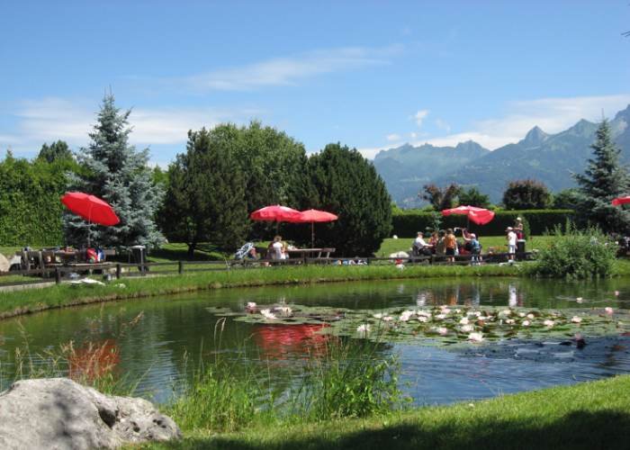 Swiss Vapeur Parc: Seerosenteich