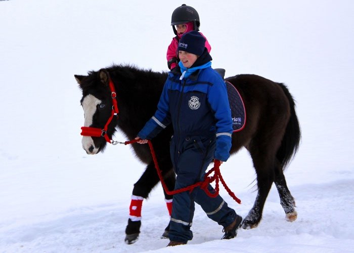 Winteraktivitäten: Spaziergang mit Pony