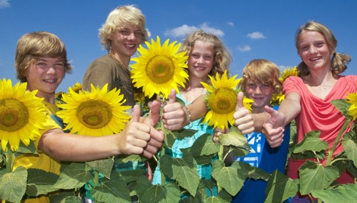 Geeignete Gartenpflanzen für Kinder: Sonnenblumen