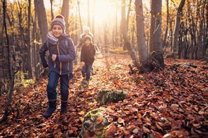 Im Herbst mit Kindern Natur erleben